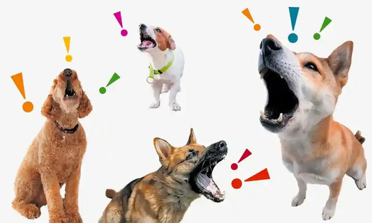 Dogs barking with colorful exclamation marks representing anxiety.