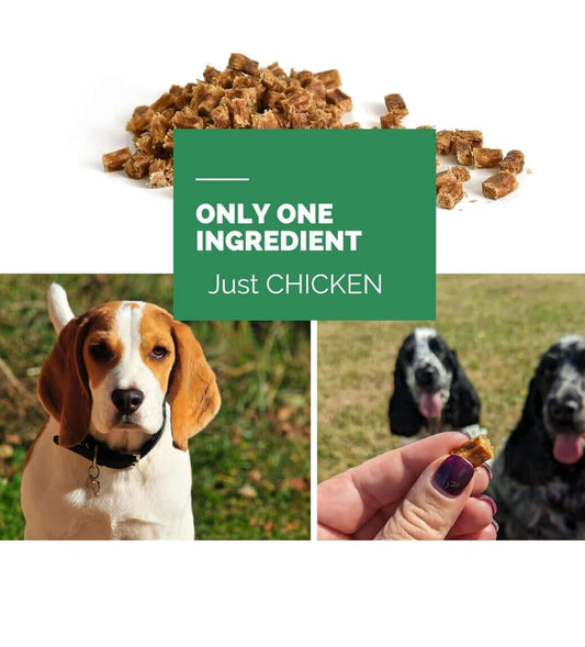 Dog treats made with only one ingredient, just chicken, with images of dogs and a person holding a treat.