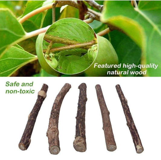 High-quality natural wood sticks, safe and non-toxic, shown with green leaves and close-up of wood texture.