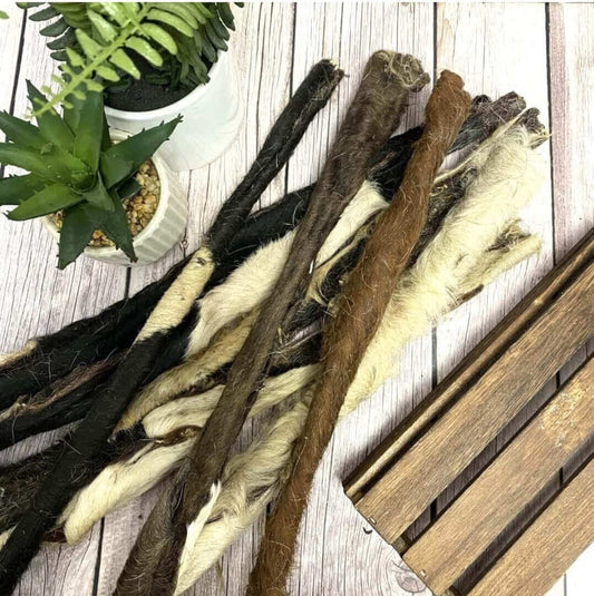 Natural rawhide chews and succulent plants on a rustic wooden table