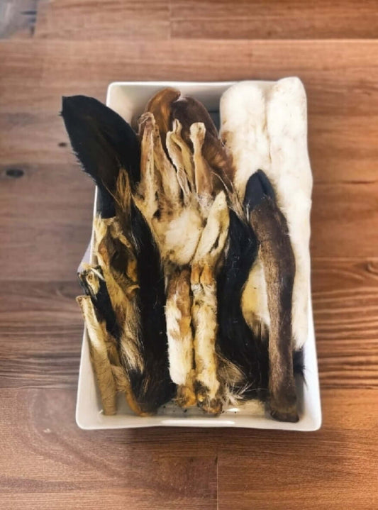 Dried animal parts and feathers displayed in a white rectangular dish on a wooden surface