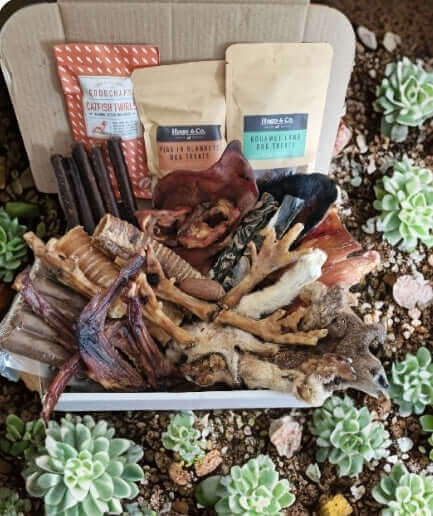 Dog natural treat gift box